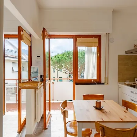 Joivy Apollo Rapallo