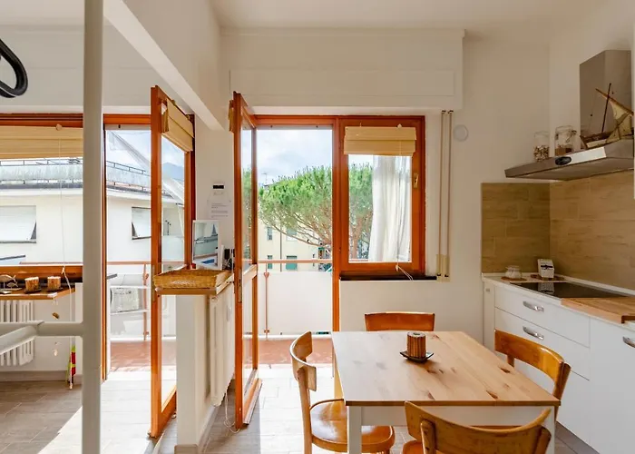 Joivy Apollo Rapallo