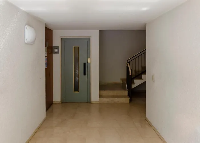 Joivy Apollo * Rapallo